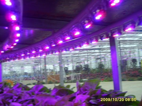 LED植物生長燈頭
