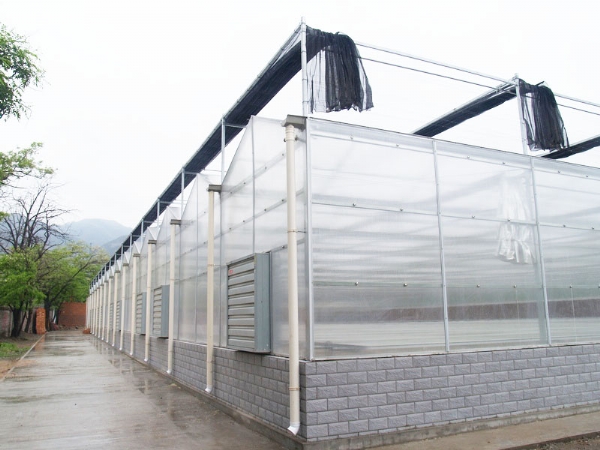 陽光板（pc板)溫室
